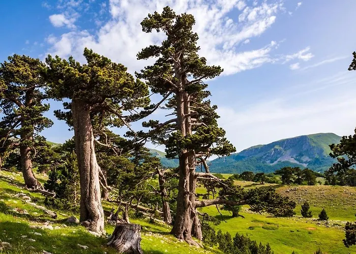 Da Clara Casa de Férias Castrovillari